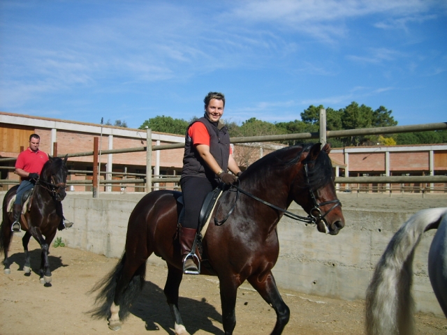 Disfruta con el mundo de los caballos